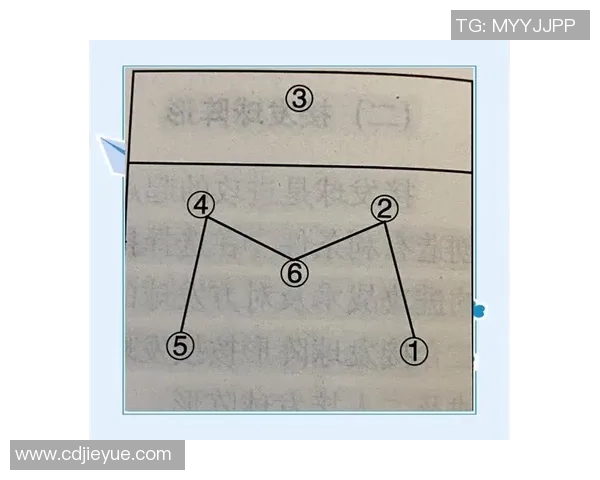 排球盛宴：深入解析北京排球队的战术与技术精髓